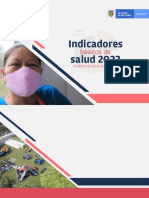 Indicadores Basicos Salud 2022