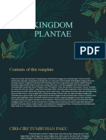Kingdom Plantae Tumbuhan Paku
