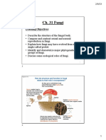 BY+124 Ch+31 Spring+2023 PDF