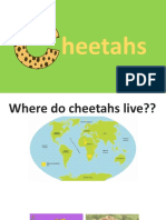 Elliott's Cheetah Presentation (Autosaved)