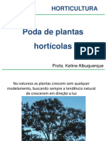 Poda de Plantas Hortícolas