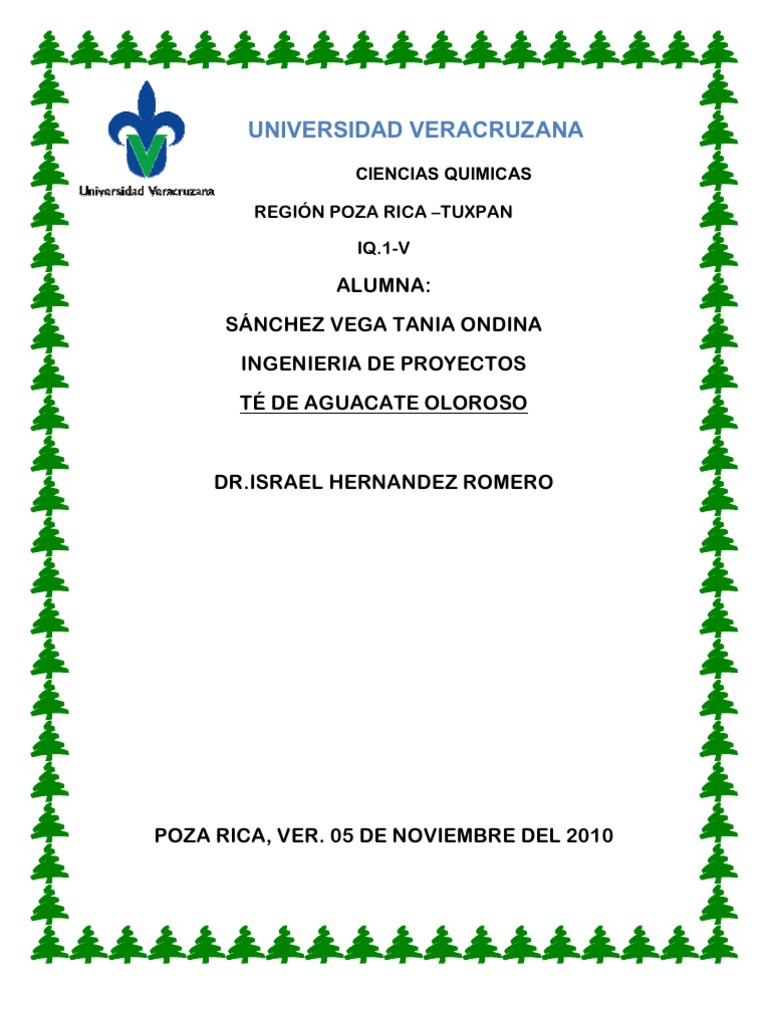 hoja de aguacate oloroso