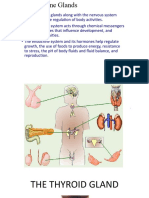 Thyroid and Adrenal Medulla