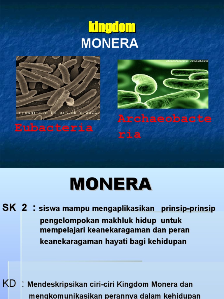 Bab 5 Monera | PDF | Griya & Taman | Kesehatan Holistik
