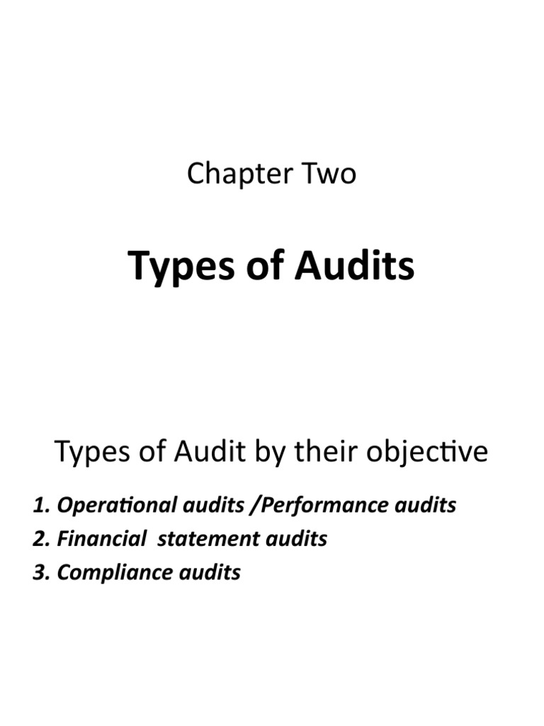 Chapter Two Types of Audits PDF Auditor's Report Financial Audit