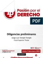 Diligencias Preliminares - Primeras Diapositivas PDF Gratis