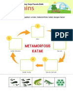 LKPD Metamorfosis Katak