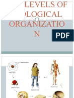 The Levels of Biological Organization