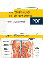 Anfis Sistem Perkemihan