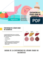 Enfermedad Del Hígado Graso No Alcohólica