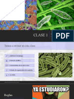 CLASE 1 - BIOLOGIA Y CELULAS Magistral