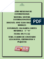 Leucocitos, eritrocitos y plaquetas: funciones y tipos