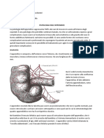 Patologia Dell'Appendice