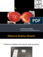 Catalase Test