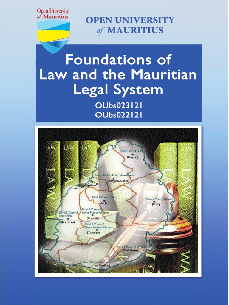 BOOK Foundations of Law and The Mauritian Legal System Seenundun PDF