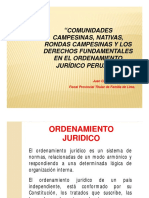 Derechos fundamentales de comunidades campesinas y nativas en el Perú