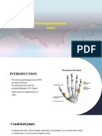 Metacarpophalangeal Joints