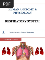 Unit 7 - Respiratory System