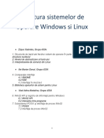 3 IlieMa VladAd ZapucGa Structura SO Windows Si Linux