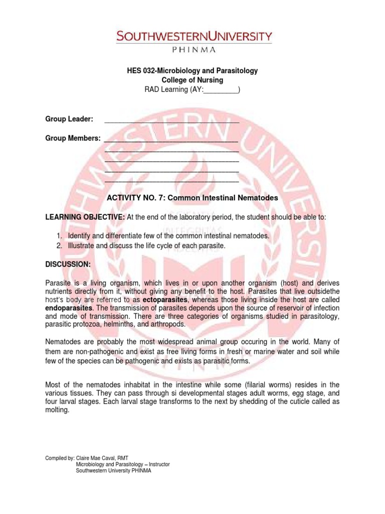 Group 7 Lab Activity 7 1 Pdf Parasitism Nematode