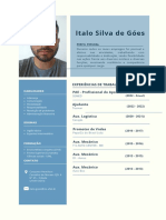 Currículo CV Profissional Sóbrio Minimalista