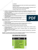 Ciências Naturais 1 - Impactes Do Ser Humano Nos Processos Geológicos