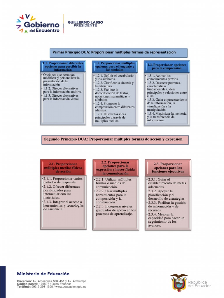 Documento Principios y Pautas DUA | PDF | Maestros | Plan de estudios