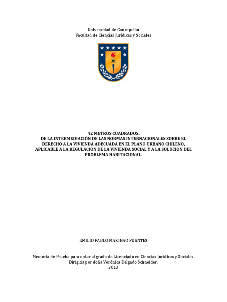 Universidad de Concepción Facultad de Ciencias Jurídicas y Sociales