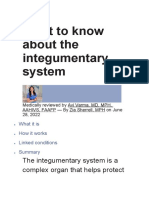 What To Know About The Integumentary System