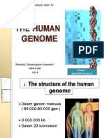 2the Human Genome