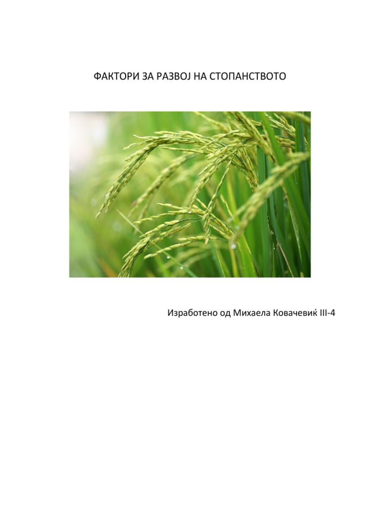 ФАКТОРИ ЗА РАЗВОЈ НА СТОПАНСТВОТО | PDF