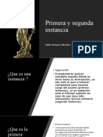 Primera y Segunda Instancia 2 PDF