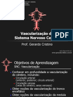 Vascularizaao Do Sistema Nervoso Central - Compress