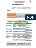 Nota Conceptual - Salud Callanmarca