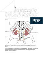 External Anatomy