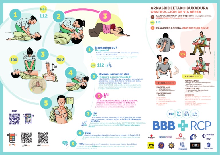 2022-Cartel RCP A3 | PDF | Reanimación cardiopulmonar | Enfermedades ...