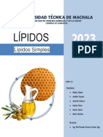 Grupo 1 - Lípidos Simples