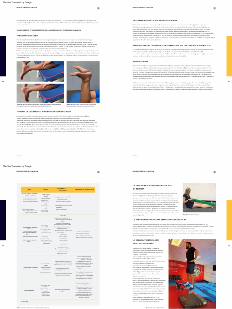 3.2 FC - Barcelona - Tendon - Guide - 2021-51-70-11-20 | PDF ...