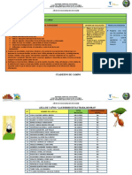 Semana 16 Cuaderno de Campo-06 de Diciembre