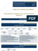 Procedimiento General en El Juicio de Amparo Indirecto