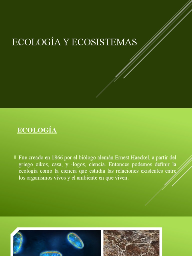 3 Ecología y Ecosistemas | PDF | Ecosistema | Ecología