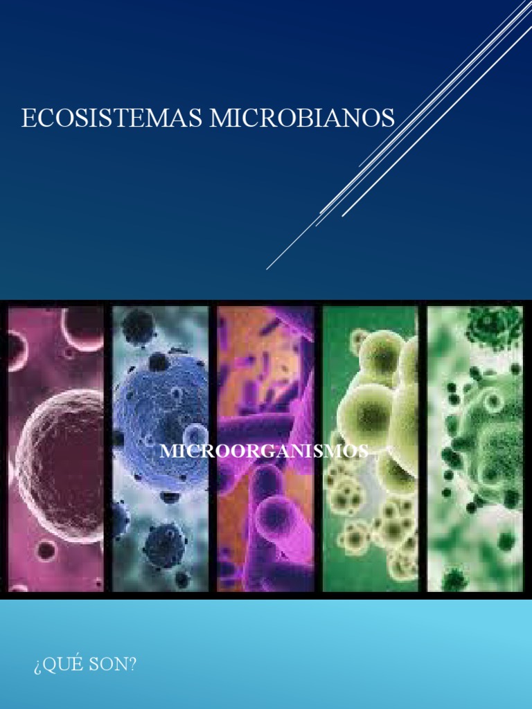 6 - Ecosistemas MICROBIANOS | PDF | Microorganismo | Organismos