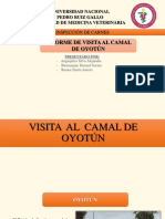 Informe - Visita Al Camal de Oyotún-Angaspilco, Bustamante, Ramos