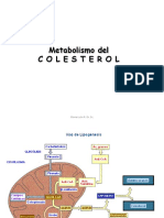 Clase - Metab Colesterol y Ateroge - Nesis - 14 Junio 2016