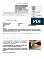 Plant Pigment Chromatography Separates Spinach Pigments