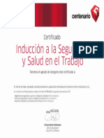 Certificado Induccion SST-4