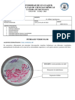 MICOSIS SUPERFICIALES EN PLASTILINA - GARCIA ORTEGA (1)