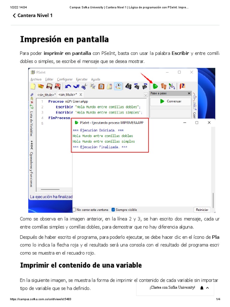 Imprimir y limpiar en PSeInt | PDF | Programación de computadoras ...