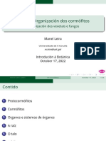 Tema 6 Organización en Cormófitos. Tecidos e Organoxénese.