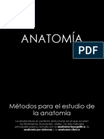 Anatomía: métodos y términos clave